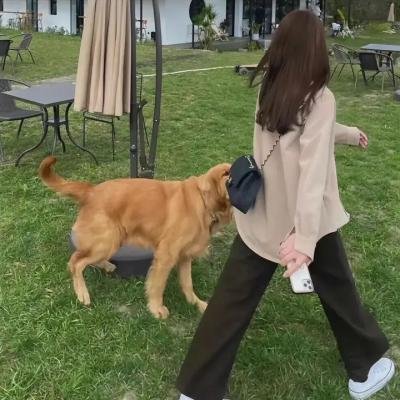 孤雏血泪